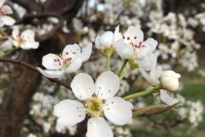 IMG_3829